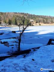 Lac Genin