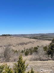 Lakeside Forest Wilderness Area