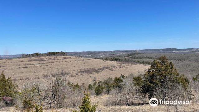 Lakeside Forest Wilderness Area