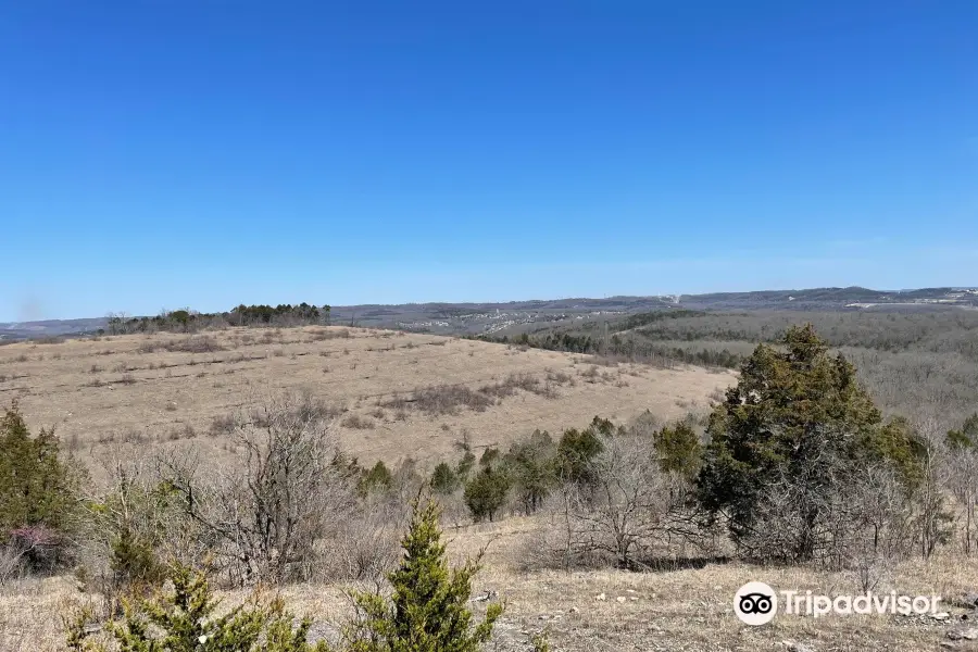 Lakeside Forest Wilderness Area