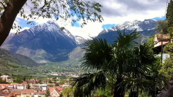 Passeggiata Tappeiner