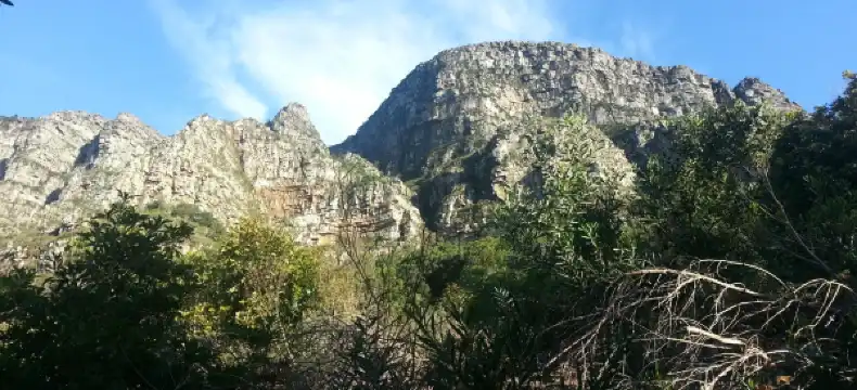 Hotels near Pinelands
