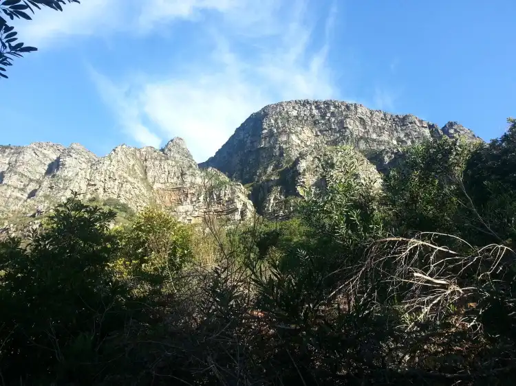 Pinelands