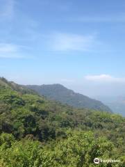 Pushpagiri Wildlife Sanctuary