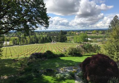 Rain Dance Vineyards