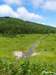 Spruce Knob