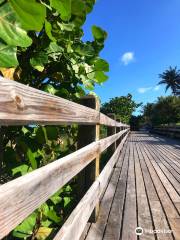 Miami Beach Boardwalk