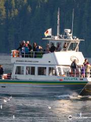 Stubbs Island Whale Watching