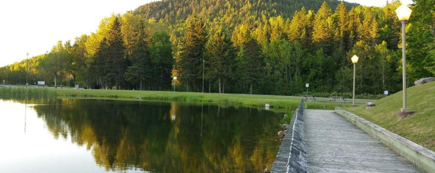 Parc provincial - Sugarloaf - Provincial Park