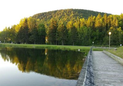 Parc provincial - Sugarloaf - Provincial Park