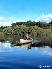 Chimfunshi Wildlife Orphanage