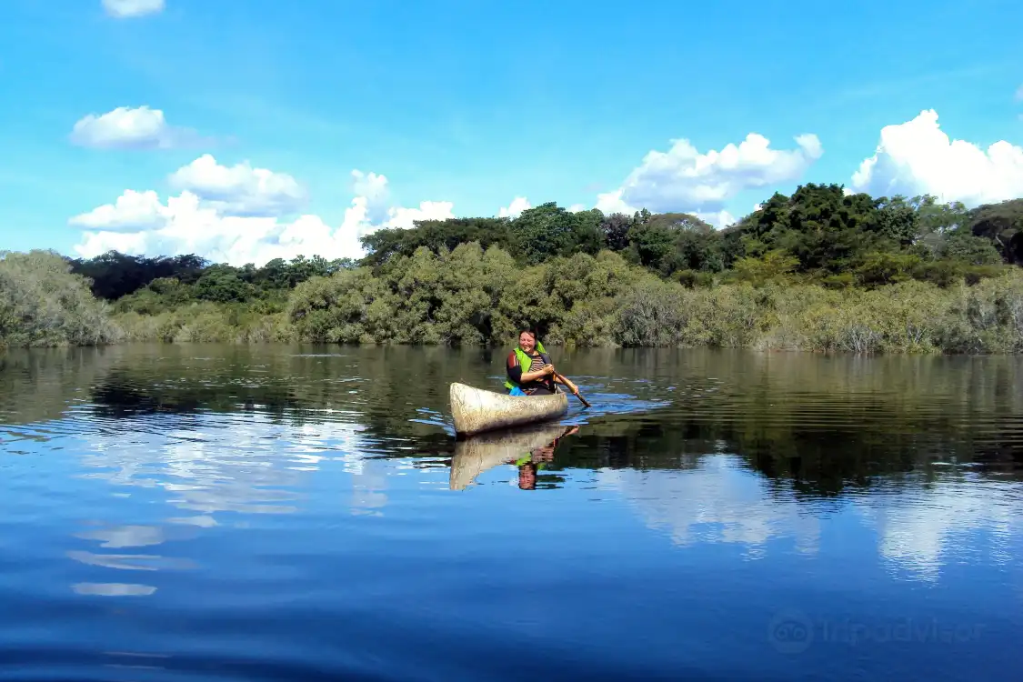 Hotels near Chimfunshi Wildlife Orphanage