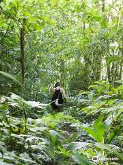 Parque Nacional da Serra do Itajaí