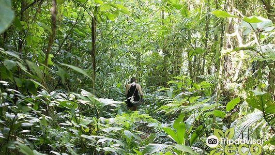 Parque Nacional da Serra do Itajaí
