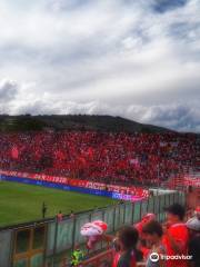 Estadio Renato Curi