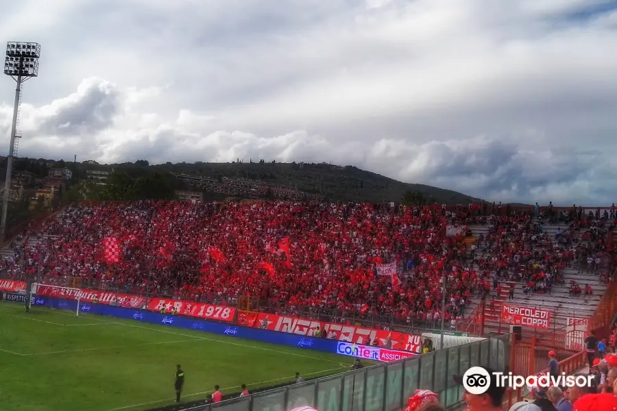 Stadio Renato Curi