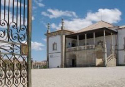 Museu de Francisco Tavares Proença Júnior