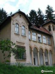 Octavian Goga Memorial Museum