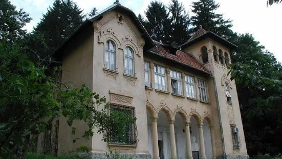 Octavian Goga Memorial Museum