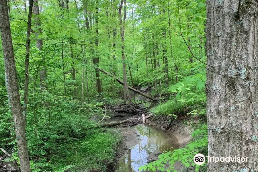 Hermon Woodlands Metro Park