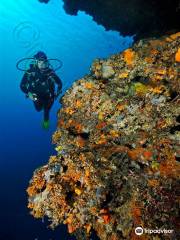 Croatia Divers Vela Luka