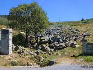 Pedregal de Irimia -Nacimiento Rio Mino