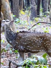 Banpukuria Deer Park