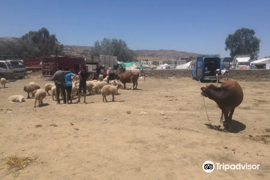 Morocco Unique Experience