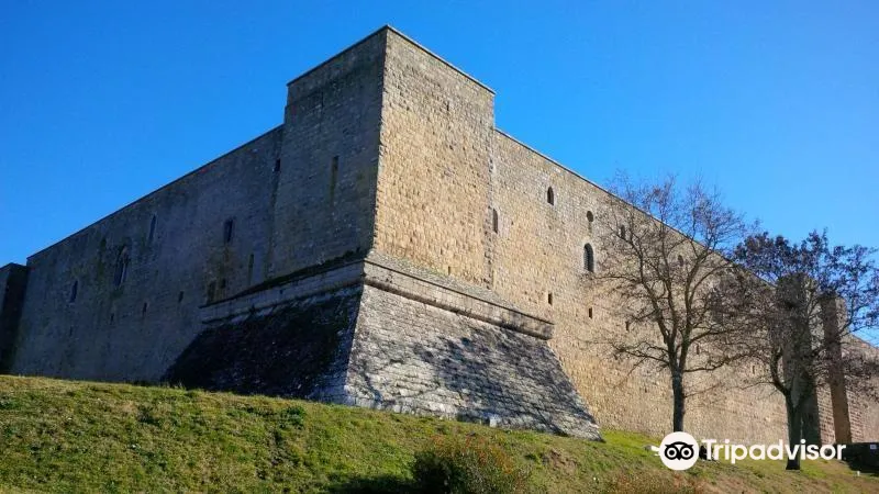 Castel LagopesoleTravel services