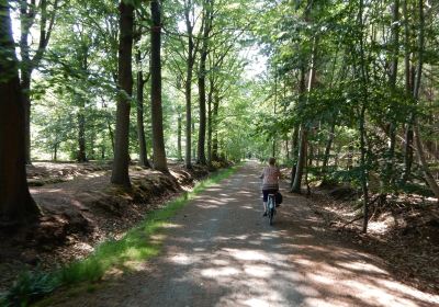 Drongengoed Bicycle Trail