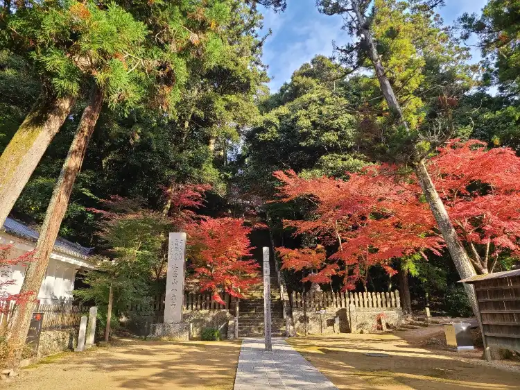 Hotels in Kasai