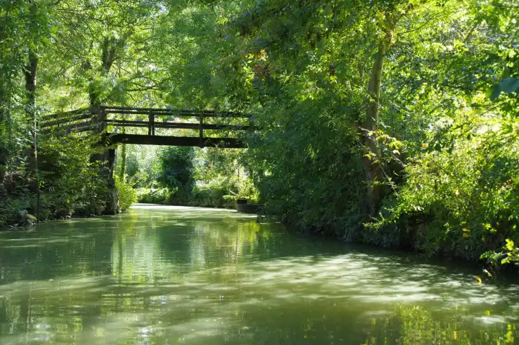 Hotels in Saint-Hilaire-la-Palud