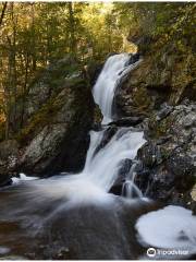 Campbell Falls