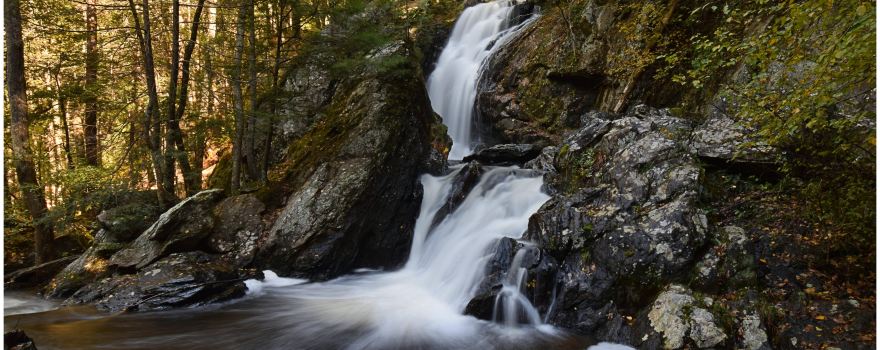 Campbell Falls
