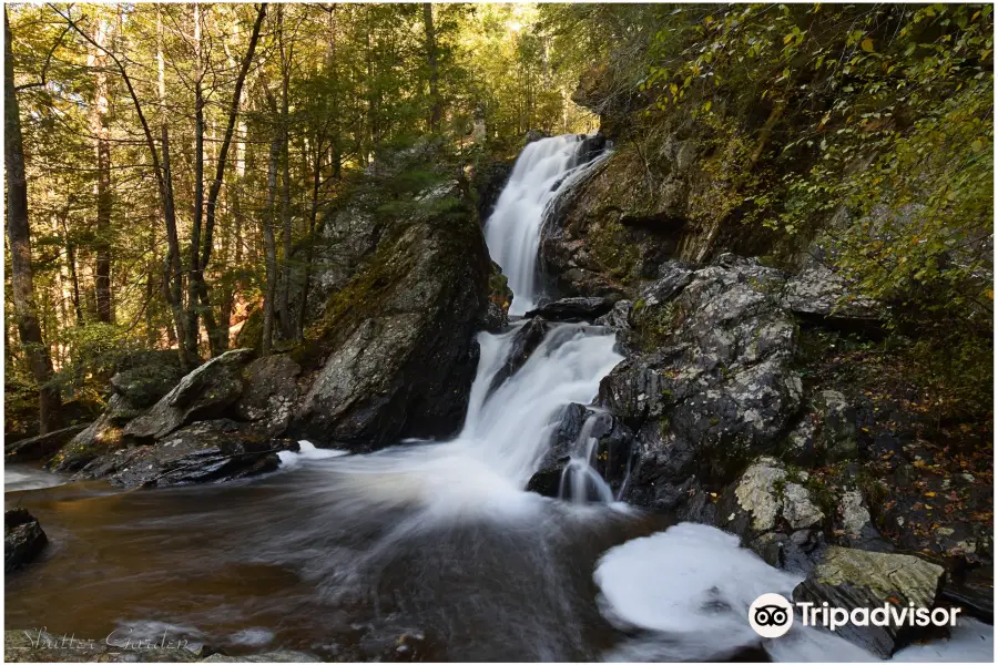 Campbell Falls