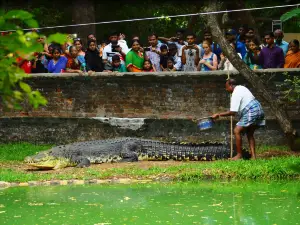The Madras Crocodile Bank Trust and Centre for Herpetology