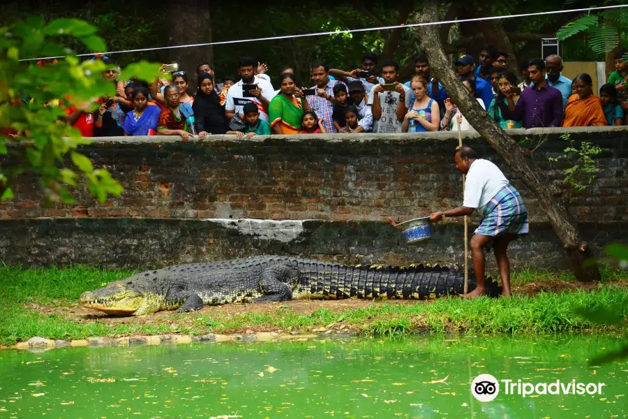 The Madras Crocodile Bank Trust and Centre for Herpetology