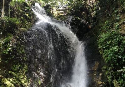 Ilesa