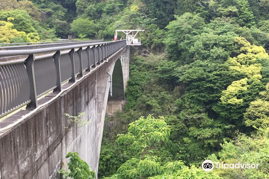 Bungy Japan Fuji Bungy