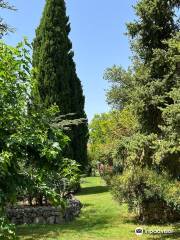 Botanical Garden of the Ostrog Primary School