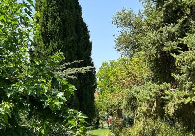 Botanical Garden of the Ostrog Primary School