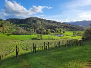 Reustle-Prayer Rock Vineyards