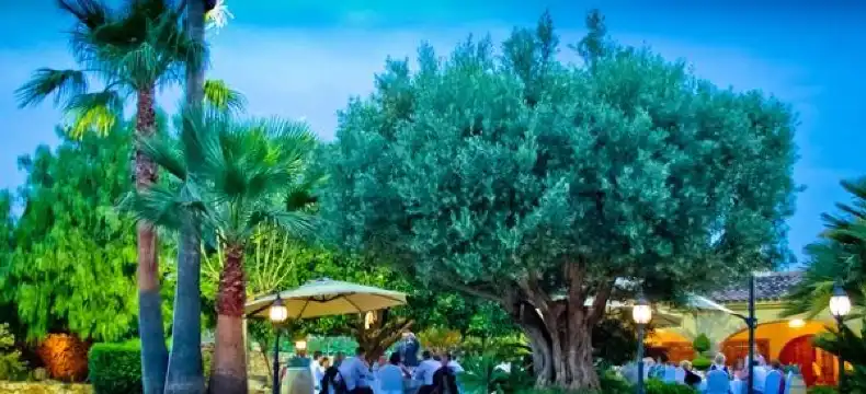 Hotels in La Marina Baja