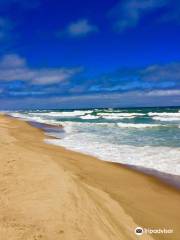 Coast Guard Beach