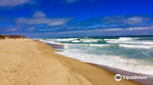 Coast Guard Beach