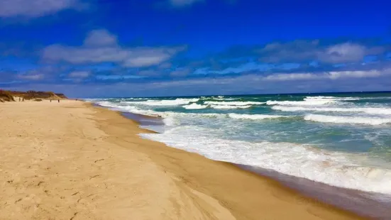 Coast Guard Beach