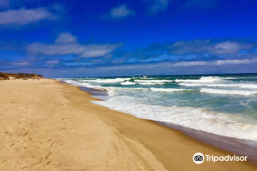 Coast Guard Beach