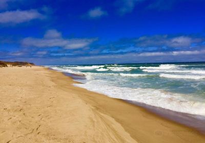 Coast Guard Beach