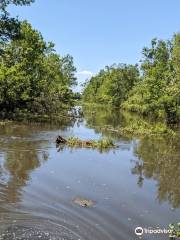 Big Easy Swamp Adventures