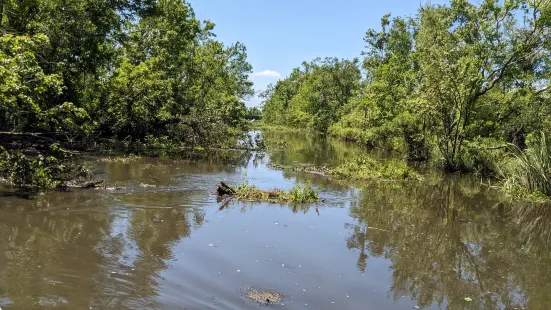 Big Easy Swamp Adventures